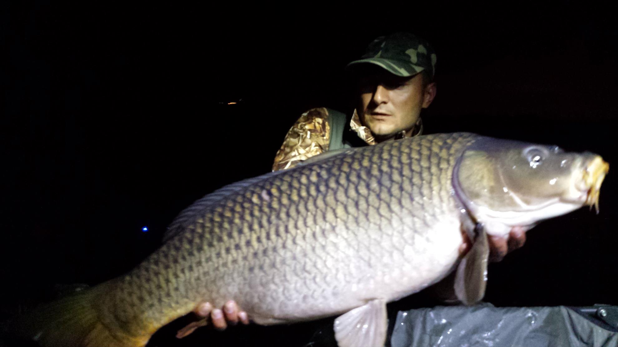 PILHAN - 20130928024233.jpg